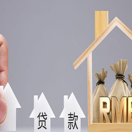 禄丰贷款中介公司新渝启服怎么样